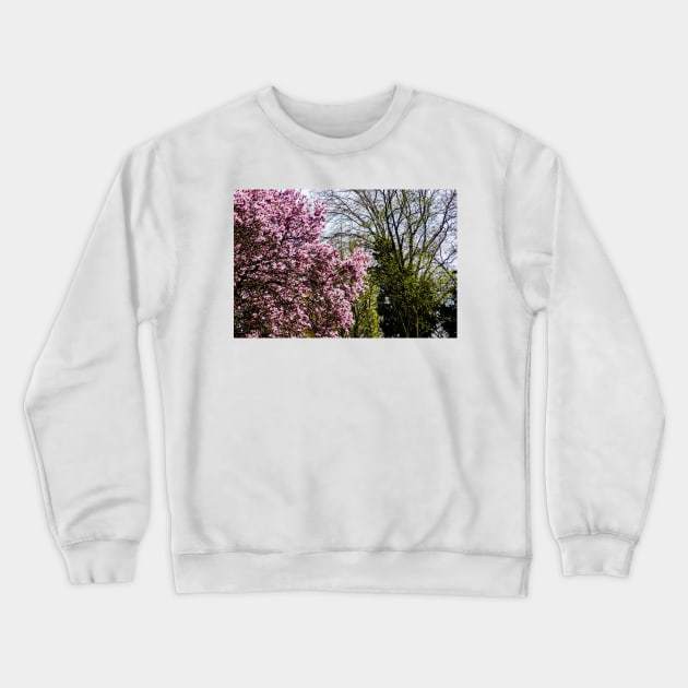 Trees in bud and bloom Crewneck Sweatshirt by srosu